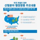 건설목재 이미지