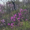 남산교회어린이집 이미지