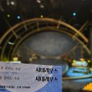 가족 뮤지컬 추천 시데레우스 안재영 기세중 박슬기 후기 ft. 청소년 할인 S석 50%
