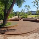 경포대초등학교 이미지