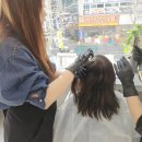 11650-1-10-721 | 대전 둔산동 미용실 살롱드헤브론 둔산시청점 염색 클리닉 솔직후기