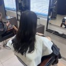 수진헤어 네이버블로그