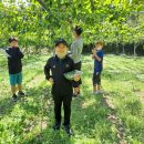 토우 농장 이미지