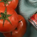 토마토달걀볶음 만들기 건강한 한그릇 토마토 계란요리 담백한 맛 토달볶만드는법 이미지