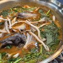 나무서리어죽 이미지