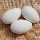 오향골농장 이미지