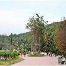 백송태양광 | 초막골생태공원 생태체험관에서 공원의 과거와 현재를 체험하다