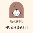 해동물병원 | 일산차병원 제왕절개 후기 3 - 수술 2일차