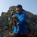 부산오징어 이미지