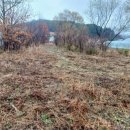 상수리숲농장 이미지