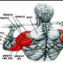 휘트니스 에스온 이미지