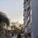 우면산 (신동아A 앞) | 수서신동아 임장 (재건축 정밀안전진단 통과)