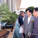 분재전시회 이미지