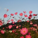 꿈의바다 이미지