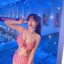 강호의도리 이미지