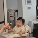 열두줄가야금(야) | [육아일기] D+276~D+282 / 9개월 진입 / 시판이유식