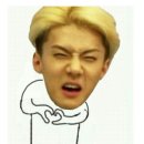 일랑 이미지