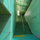 성성우성@ 이미지