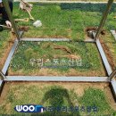 신원고등학교
