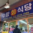 파라다이스유황천 | 포항 원정 맛집 죽도시장 물없는 물회 수향회식당 내돈내산 후기
