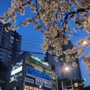 스마트국영수