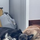 백화stay 이미지