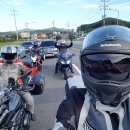 회령만두 이미지