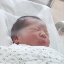 세하 이미지
