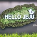 부이656 | [제주 여행] 3박 4일 일정, 경비