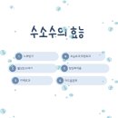 미소지앤 에스테틱 이미지