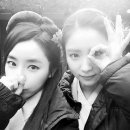 신세경 카카오 검색결과