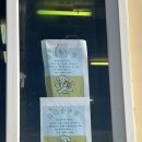 제주애견카페 초록동산 | [제주시 이호이동] 제주애견카페 초록동산 // 내돈내산, 솔직후기