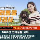 반려동물관리사자격증 이미지