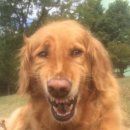 요새뜨는 짬뽕집 | 12월에 올리는 12월 일상 근데 이제 2024년인