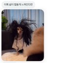 하늘협동조합우리동네상상카페 | 5월 일기. 인생은 길고 날씨 참 좋구나