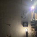 우연한발견 | 제주 애월 감성 숙소 추천 '우연한발견' 숙박 후기