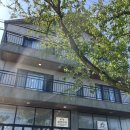 천년비자 | [리뷰_숙소] 제주도 구좌읍 비자림 근처 펜션 추천 | 천년비자 203호 3박 후기