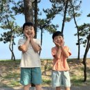 무안낙지 이미지