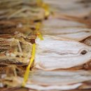 여수연안여객터미널 이미지