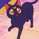 크림스톤 이미지