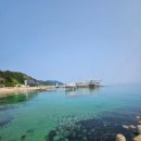한아름공원 | 곰한아름의 일상블로그 주간일기 6월 첫째주