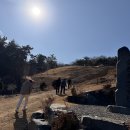 대전추모공원 | 설날 대전 선산 추모공원 성묘길.