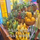 달푸르츠 | 나트랑 망고스틴 배달도 가능한 미미푸르츠 1일 1과일