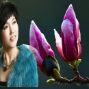 순향 이미지