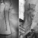 시온동물병원 이미지