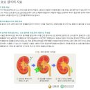 드림온비뇨기과 네이버블로그