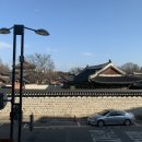 홍시당 이미지