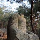남산 정상 에서 이미지