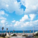 메이 더 카라반 이미지