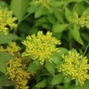 기린초등학교 이미지